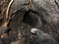 NUCC 2020 AGM event image