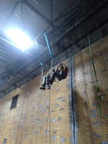 TRIVIA TUESDAY!! event image