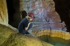 Survey Training event image