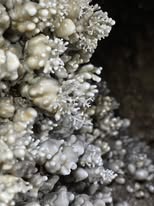 Let’s go caving in Wyanbene!! event image