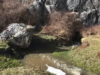 Wyanbene… Attempt #4 event image