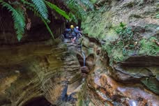 WeeJ Vertical Day Trip event image