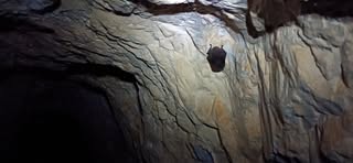 Easter Bungonia trip event image