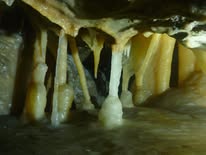 Yagby Rogaining/Caving event image