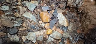 Snow shoe trip! event image