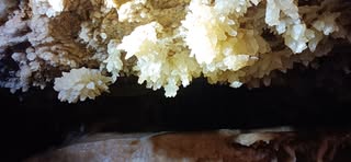 White Rocks SRT Training event image