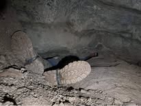 Bungonia Caving this Sunday event image