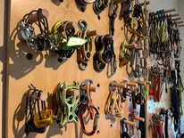 NUCC AGM 2023 event image